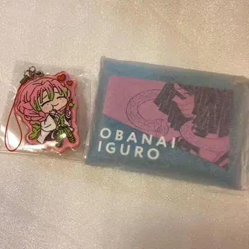 귀멸의 칼날 미츠리 이구로