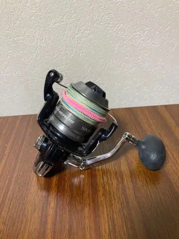 시마노 스페로스 SW 6000HG 스피닝 쇼어지깅 청어