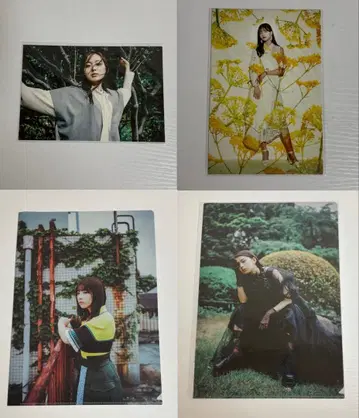 노기자카46 포 시즌즈 세트