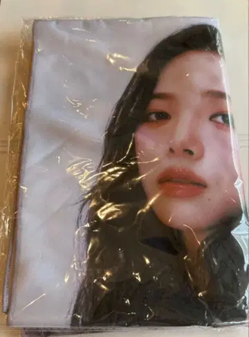 aespa LIVE TOUR 슬로우건 타월 카리나 미개봉 당일 발송