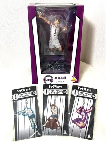 하이큐 라스트 원상 우시지마 와카토시 4세트