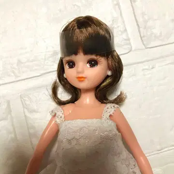 포토제닉 리카 데이지