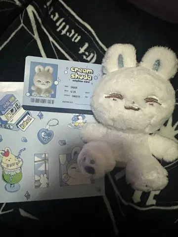 seventeen 조슈아 10cm 마스터