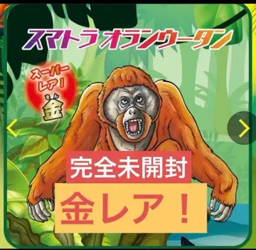 미개봉 새상품 정글&co. 금 수마트라 오랑우탄 슈퍼 레어 인형