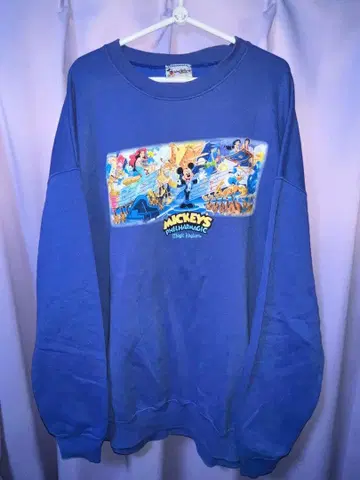 월트 디즈니 월드 매직 킹덤 필하모닉 매직 맨투맨