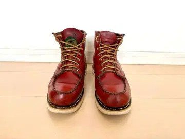 레드윙 875 아이리쉬 세터 빈티지 반원 개 택