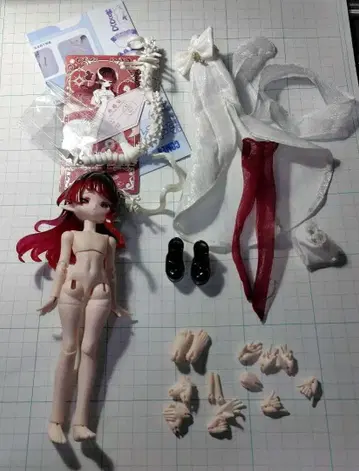 COME4FREE  해양 보석 MINTY2 민티2 루피나 척추 있음