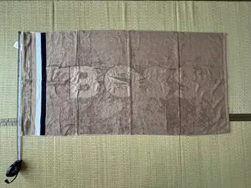 BOSS 베이지 타월 약 140cm x 70cm