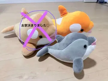 돌고래, 범고래 봉제 인형 2색 세트