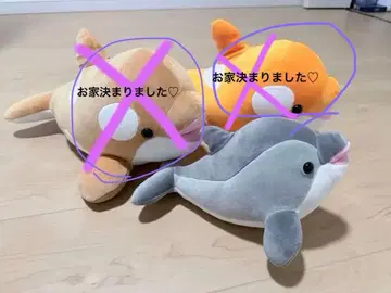 돌고래 봉제 인형