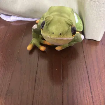 그린 컬러 개구리 봉제 인형