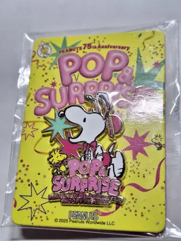 스누피 페스티벌 2025 나고야