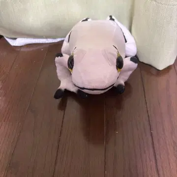 개구리 봉제 인형