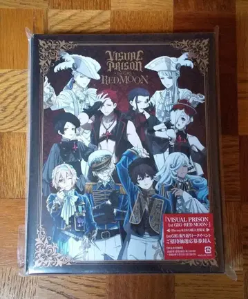 비주얼 프리즌 2종 세트