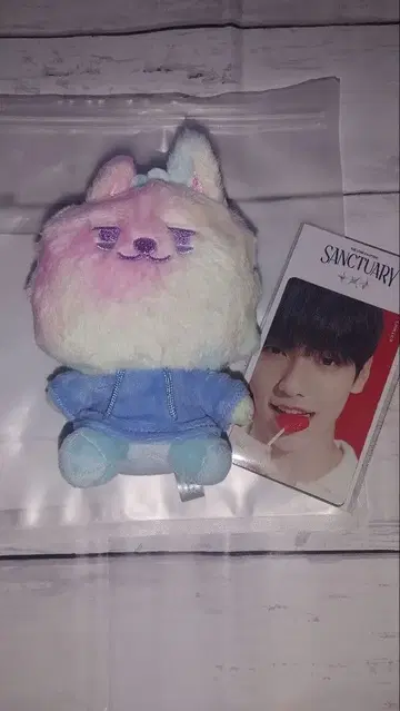 TOMORROW X TOGETHER 연몽 봉제 인형 키링