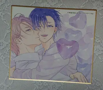 drap 25주년 기념전 칸다 고양이 미니 색지