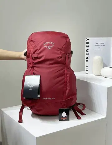 Osprey Skarab 22 백팩 빨간색