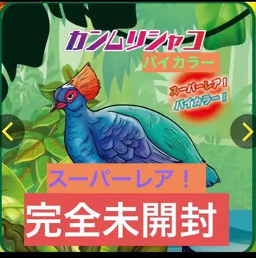 미개봉 새상품 정글&co. 칸무리샤코 바이컬러 슈퍼 레어