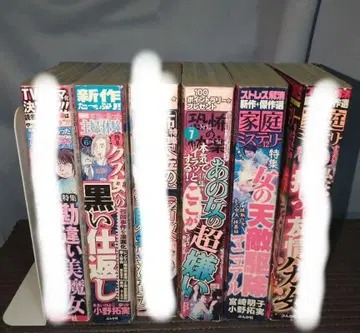 레이디 코믹 여성용 코믹 3권 세트