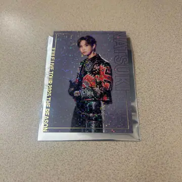 호리 나츠키 EXILEtour 시크릿 트레이딩 카드