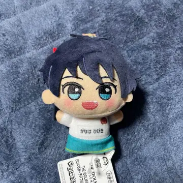 남코 한정판 아이돌 마스터 SD 인형 카나하 히비키