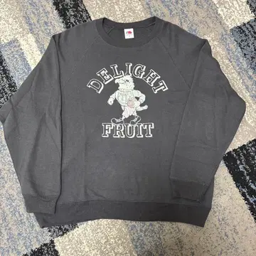 FRUIT OF THE LOOM 맨투맨 M