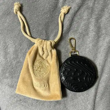 DWS saad 코인 케이스