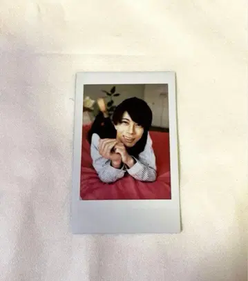 노우미 집사 가극단 폴라로이드 꽃의 배제 집사 찻집 스와로테일