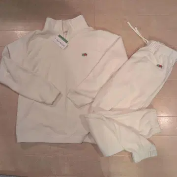 프룻 오브 더 룸 셋업 L