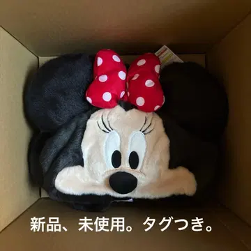 디즈니 리조트 미니 팬캡