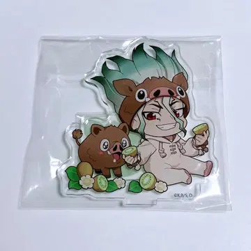 Dr.STONE 파보테리아 사가라 카페 아크릴 스탠드 이시가미 센쿠