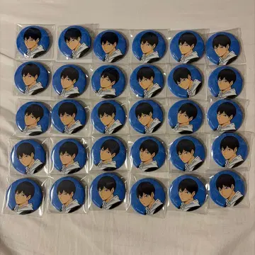 카게야마 토비오 하이큐 토부 동물공원 캔뱃지 30개