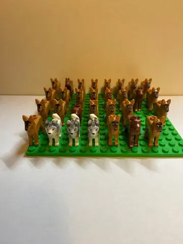 LEGO 정품 강아지 계열 정리