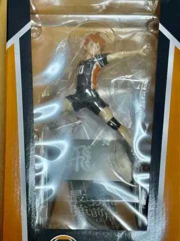 히나타 쇼요 하이큐 해피 복권 A상