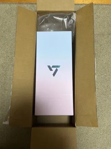 SEVENTEEN 응원봉 10th ver