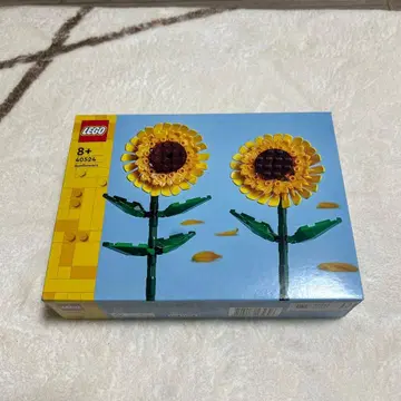 LEGO 40524 해바라기 미사용 새상품