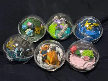 테라리움 컬렉션 포켓몬 묶음 판매