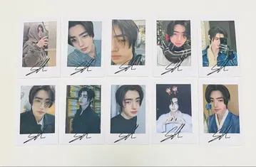 ENHYPEN 사인 포함 폴라로이드 10장 SET (성훈)