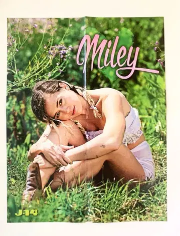 마일리 사이러스 숀 멘데스 양면 포스터