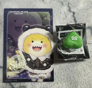 컬러풀 피치 시바님 묶음 판매