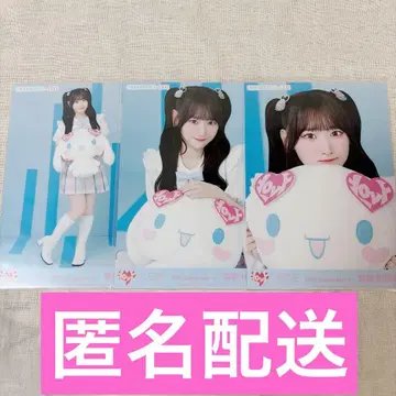 이코럽 사이토 지아 시나모롤 2025 브로마이드 컴프 시나몬