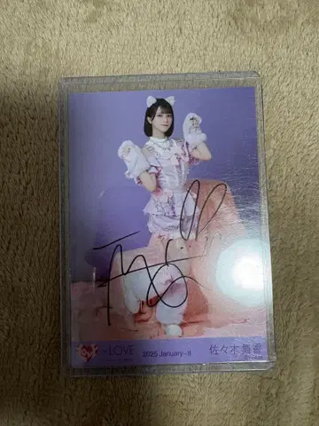 사사키 마이카 고양이 친필 사인