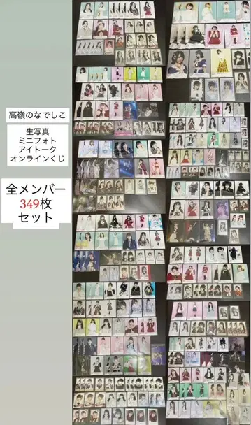 타카네노 나데시코 브로마이드 미니 사진 전 멤버 349장 세트 묶음 판매