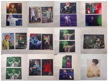 우라타누키 메모카 아샤