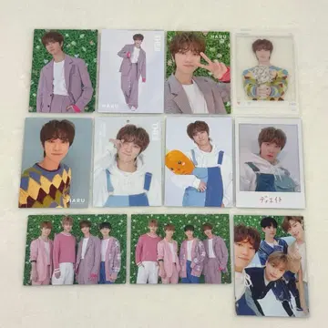 SEVENTEEN THE8 HARU 퍼포먼스팀 포토카드 세트