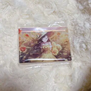 시라이시 안 노블 아트 vol.44