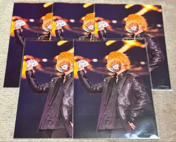 스토푸리 젤 군 브로마이드 포커 댄스