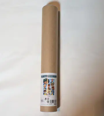 [ 영화 이나즈마 일레븐 총집편 전설의 킥오프 ] A3 매트 가공 포스터