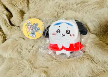 치이카와 x 산리오 푸치 미니 후드 마스코트 포차코 하치와레