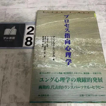 프로세스 지향 심리학 아놀드 민델 저